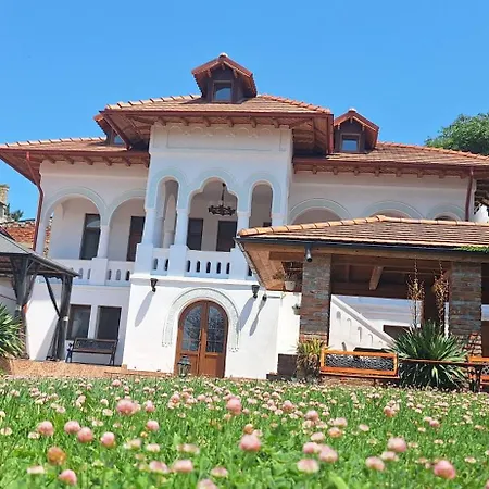 Pensjonat Conac Bistreanu 4*