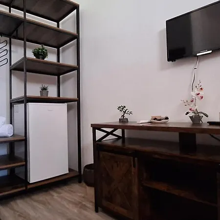 Conac Bistreanu Gæstehus 4*