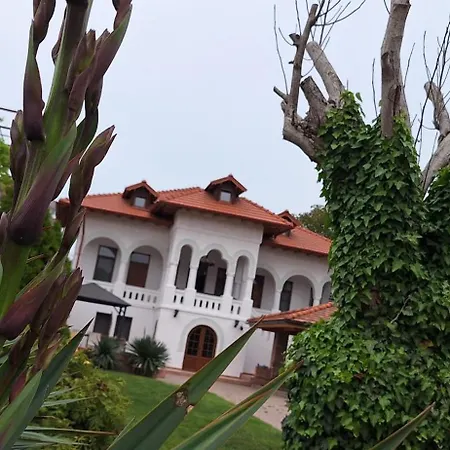 Conac Bistreanu Pensionat 4*