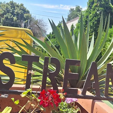 Conac Bistreanu Pensionat Eforie Sud (Constanta)