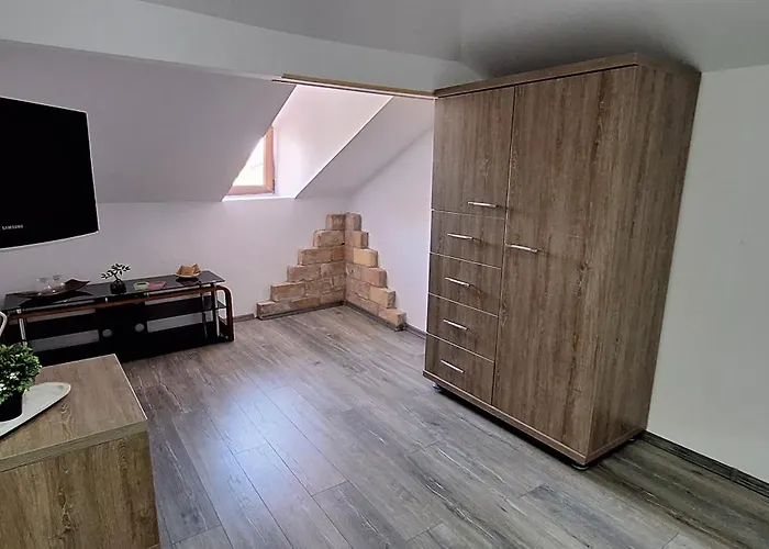 Conac Bistreanu 4* אפורי סוד