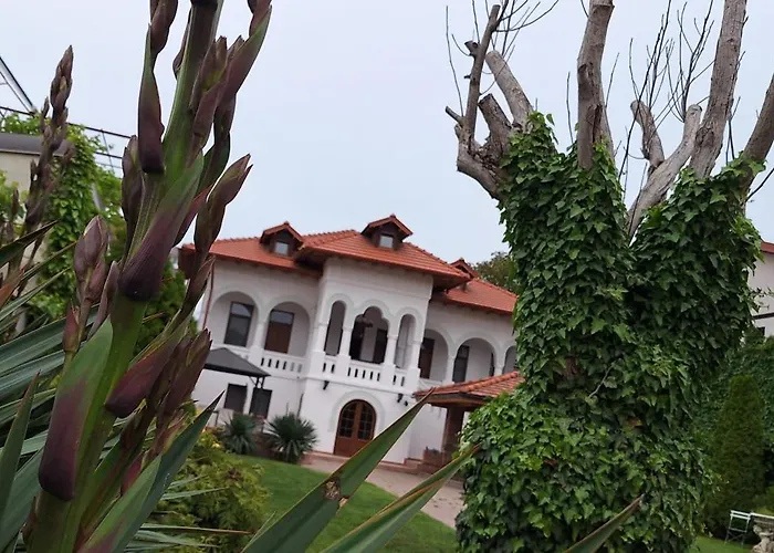 Conac Bistreanu בית הארחה 4*