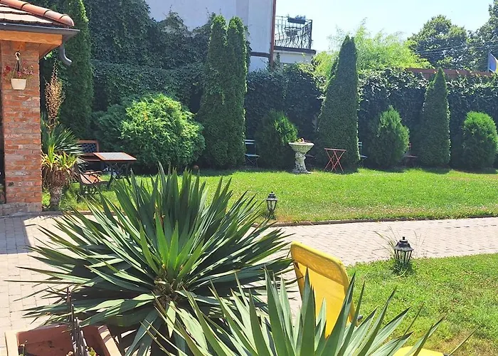 Conac Bistreanu 4* אפורי סוד