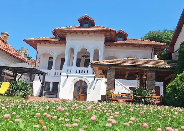 בית הארחה Conac Bistreanu 4*