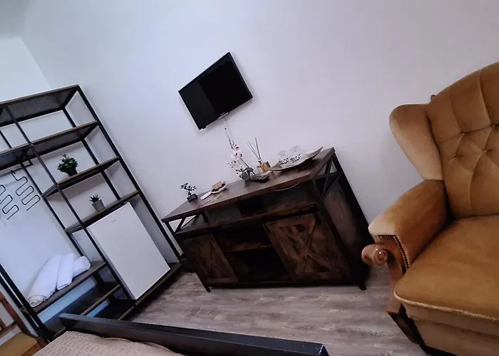 Conac Bistreanu בית הארחה 4*