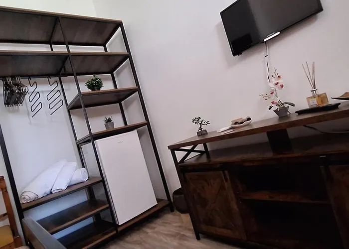 Conac Bistreanu 4* אפורי סוד