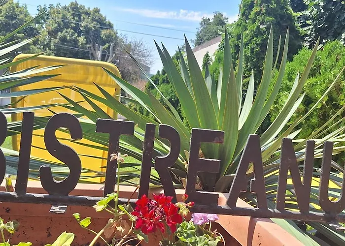 Conac Bistreanu בית הארחה אפורי סוד